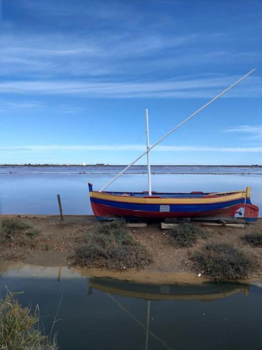 Mer Veilleuse Gruissan - Clim - Piscine Esterno foto